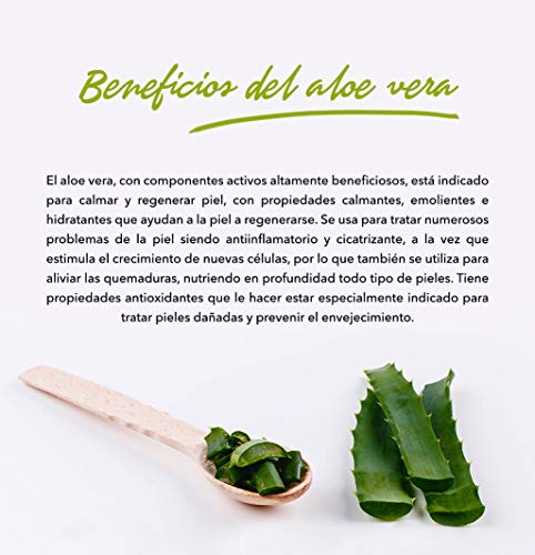 TABAIBA Aloe Vera Crema Hidratante Facial y Corporal, Normal, Fresco, 300 Mililitros
