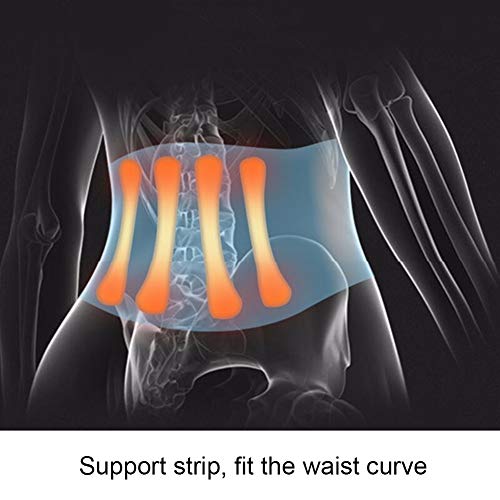 TANGIST Soporte Lumbar Cinturón Reforzado Soporte para La Espalda Universal para Dolor Muscular & Espalda Baja Postura,  para Estabilidad Lumbosacra (Size : L)