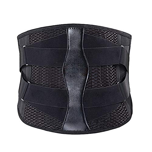 TANGIST Soporte Lumbar Cinturón Reforzado Soporte para La Espalda Universal para Dolor Muscular & Espalda Baja Postura,  para Estabilidad Lumbosacra (Size : L)