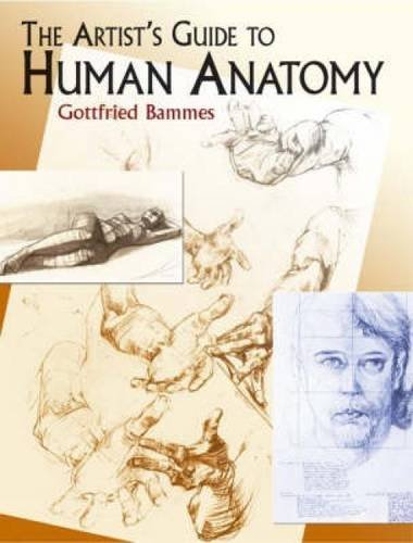 The Artist's Guide to Human Anatomy (Dover Anatomy for Artists) by Gottfried Bammes (2004-09-17)