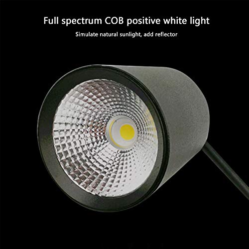 TWW Downlight acuático LED, Soporte de luz de Planta COB de Espectro Completo para Tanque acuático Anfibio, iluminación de elevación de paisajismo de Acuario pequeño,18W