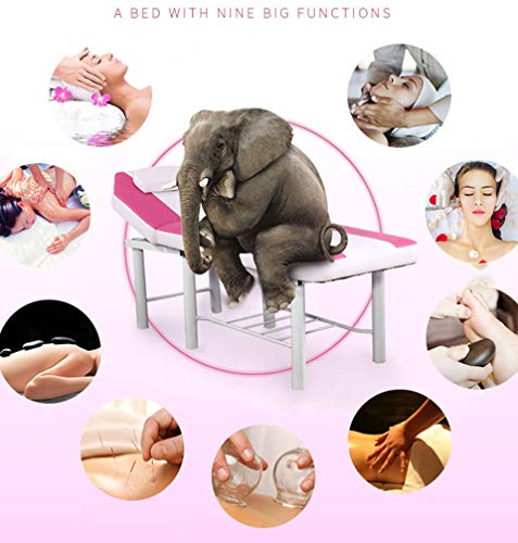Ultraligero portátil Masaje Mesa sofá Cama Plinth Terapia Tatoo Salon Reiki curación Sueco Masaje,Rose-Red