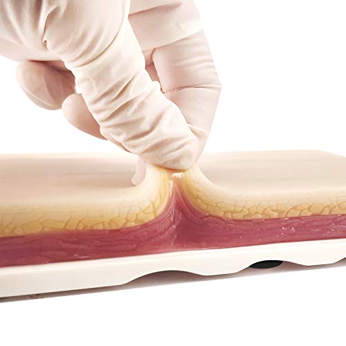 Venipuncture IV - Almohadilla de entrenamiento de inyección con 4 venas integradas y 3 capas de piel para estudiantes de medicina, médicos y enfermeras