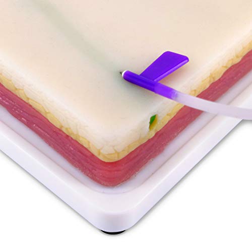 Venipuncture IV - Almohadilla de entrenamiento de inyección con 4 venas integradas y 3 capas de piel para estudiantes de medicina, médicos y enfermeras