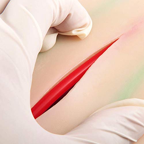 Venipuncture IV - Almohadilla de entrenamiento de inyección con 4 venas integradas y 3 capas de piel para estudiantes de medicina, médicos y enfermeras