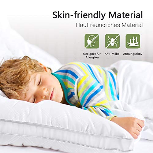 viewstar Almohadas 80x40cm, Almohadas Antiácaros e Antialérgico, Pack de 2 Almohadas Firmeza Media, 100% Microfibra, Almohadas para Camas, Pillow Certificado por Oeko-Tex