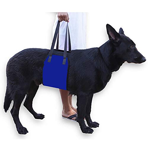 WLDOCA Arnés de Soporte para Levantamiento de Perros Correas Ajustables Cabestrillo canino para Pierna Trasera canino Ayuda rehabilitación arnés con Patas traseras débiles,Azul,S