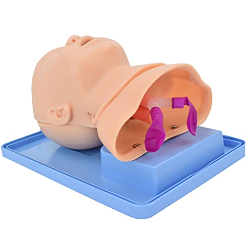 WSXKA Maniquí de intubación pediátrico, maniquí de intubación de PVC, Entrenador de manejo de vías respiratorias Maniquí traqueal Infantil para demostración médica