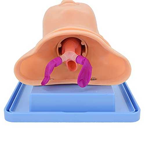 WSXKA Maniquí de intubación pediátrico, maniquí de intubación de PVC, Entrenador de manejo de vías respiratorias Maniquí traqueal Infantil para demostración médica