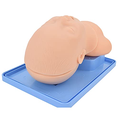 WSXKA Maniquí de intubación pediátrico, maniquí de intubación de PVC, Entrenador de manejo de vías respiratorias Maniquí traqueal Infantil para demostración médica