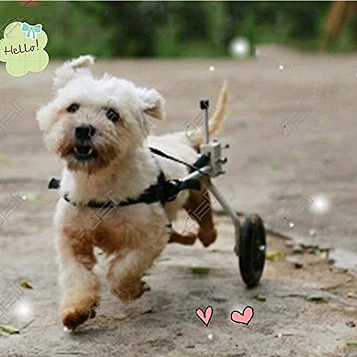 WXFCAS Mascota silla de ruedas perro silla de ruedas silla de ruedas silla de ruedas silla de ruedas, gato ajustable y perro deshabilitado extremidades traseras carro lesión pequeña mascota scooter ma