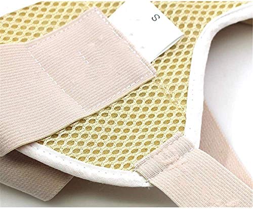 YAIRMIS Soporte de Hernia Simple o Doble inguinal/Hernia inguinal braguero, Hernia Bilateral Pad, for Hombres y Mujeres Cinturón de Hernia (Color : Adult, Size : S)