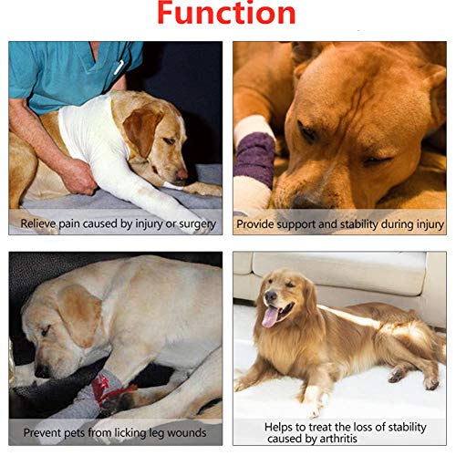 YWRD Condoprotectores Perros Vendas Perro Cadera y articulación para Perros Protectores de Patas para Perros Perro Aparato ortopédico de Pierna Black,S