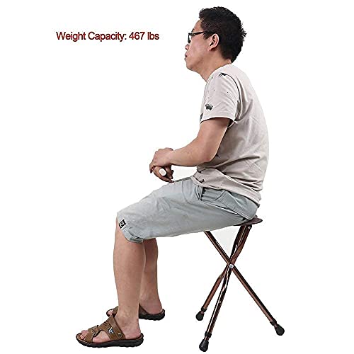 Z-SEAT Andadores para Personas Mayores Ayuda médica para discapacitados Bastón de Asiento Plegable (bastón para Caminar y Asiento para Silla), Taburete con Asiento Tipo Palo, Altura Ultraligera aju