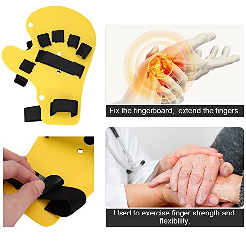 ZFAZF Dedos Ortesis Dispositivo, Separador Dedos, Férula Ortopédica Dedos, Diapasón Tipo Extendido, Férula Mano Accidente Cerebrovascular Entrenamiento Rehabilitación Ambas Manos