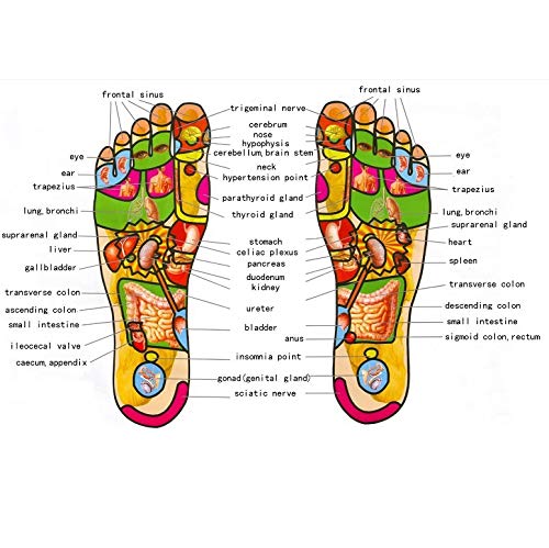 ZHJIUXINGZD masajeador pies –Foot Massager -Masajeador de pies, ejercitado de piernas,Masajeador de Pies Masaje Pie Maquina,Legs Exercise,Bio Shaker ejercitador de piernas,Power Legs masajeador
