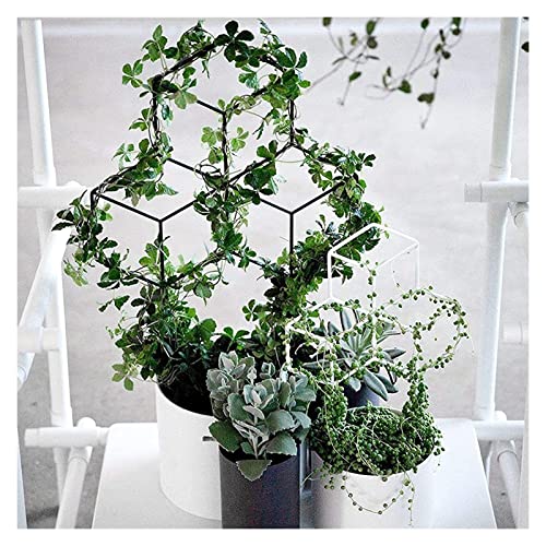 2 Paquete Metal Garden Trellis Negro Recubierto Mox Moho Respubierto Trellis Interior Al aire libre Plantas de escalada en macetas Flor Verduras Rose Vid Pea Ivy Hiedra Pepinos Jardín Arco Jardín Arc