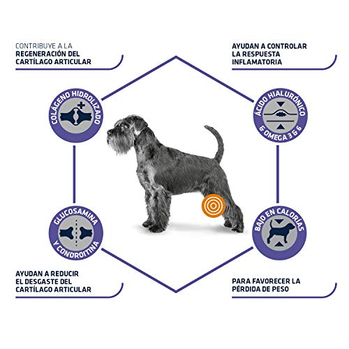 ADVANCE Veterinary Diets Articular Care Reduced Calorie - Pienso Para Perros Adultos Con Problemas Articulares Con Calorías Reducidas - 3 kg