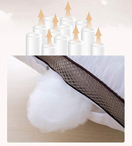 Almohada de Plumas QUANHAO, 100% algodón y algodón. Empaque 2 Almohadas de plumón de Ganso Blanco. Almohada Suave Inflable Natural de Calidad hotelera (Blanco 2 Piezas, 48x74cm)