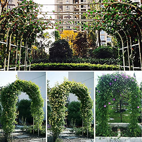 Arco De Metal para Bodas, Arco De Jardín, Rosas, Plantas Trepadoras, Soporte para Flores, Ideal para Patio Trasero, Césped, Patio, Decoración De Bodas, 150 X 267 X 50 Cm (Blanco 125 X 267)