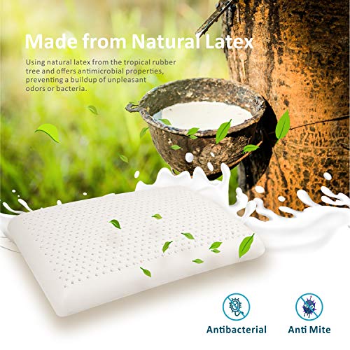 Baytion Almohada Látex, Almohada Cervical con Bolsa de Almacenamiento, Almohada para Auien Duerme de Lado y De Espaldas [Látex 100% Natural] [Transpirabilidad] [Alta Elasticidad] (60 * 40cm)