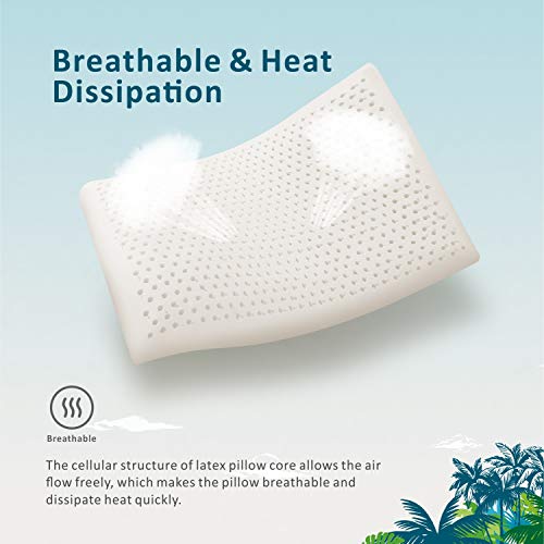 Baytion Almohada Látex, Almohada Cervical con Bolsa de Almacenamiento, Almohada para Auien Duerme de Lado y De Espaldas [Látex 100% Natural] [Transpirabilidad] [Alta Elasticidad] (60 * 40cm)