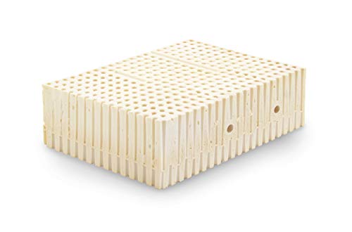 CLOEN Almohada Latex | 100% de látex Natural | Orificios Ultra Transpirables | Termorreguladora | Antiácaros e Hipoalergénica | Cervical | Fabricación Nacional | Model Latex Pillow (150 cm)