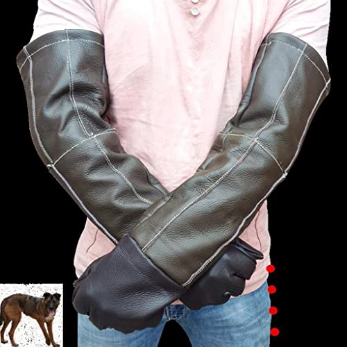 Guantes de Trabajo Limpie Los Gatos Y Los Perros For Que Se Rasque For Prevenir Los Gatos Y Los Pinceles Guantes De Perro Anti-bocado Protectores Protectores Suministros Pet Peine