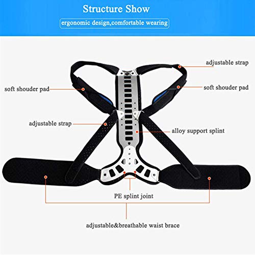 HYRL Soporte De Fijación De Órtesis Espinal, Soporte De Corrección De Espalda Ajustable - para Niños Adultos Cifosis Espondilitis Soporte De Postura,S