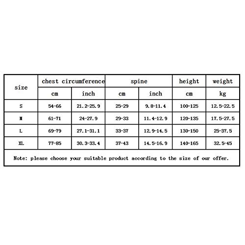 Jmung Corrector Postura Y Soporte para Espalda Ayuda con La Cifosis Temprana Aparatos Ortopédicos para Niños Postura De Sentado Ortesis Ortosis Ortesis para Estudiantes Masculinos Y Femeninos,Blue,XL