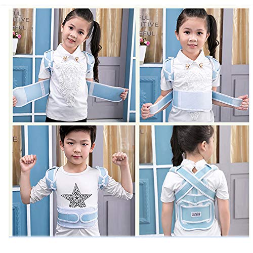 Jmung Corrector Postura Y Soporte para Espalda Ayuda con La Cifosis Temprana Aparatos Ortopédicos para Niños Postura De Sentado Ortesis Ortosis Ortesis para Estudiantes Masculinos Y Femeninos,Blue,XL