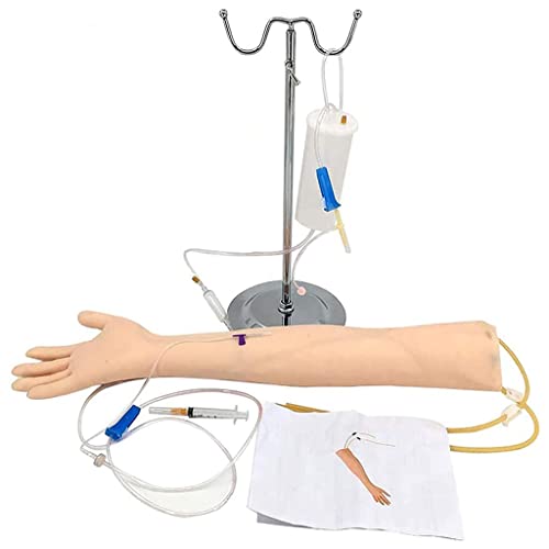Kit De Flebotomía, Modelo De Práctica De Brazo IV, Para Inserción Intravenosa, Extracción De Sangre, Inyección Y Otras Técnicas De Punción Venosa