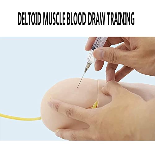 Kit De Práctica De Flebotomía, Kit De Práctica De Inyección De Entrenamiento De Extracción De Sangre Para Músculos Deltoides, Iv De Práctica Para La Escuela De Enfermería