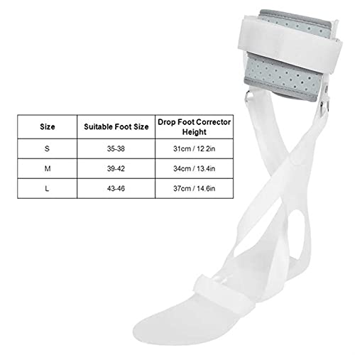 LIZHE Soporte de Gota de pie Sabrabilizador de pies Perspieta ortopédica Pie de Gota de Tobillo Corrector Corrector Soporte Splint Tobillo Foot Ortesis Enderezadora Abrazadera