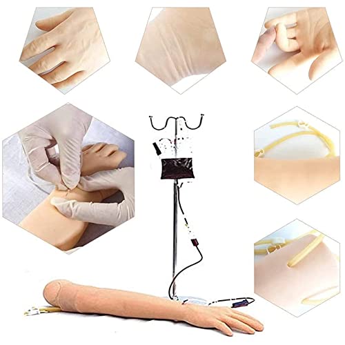 Modelo De Entrenamiento De Venipuntura, Kit De Práctica De Flebotomía Modelo De Inyección De Sangre, Brazo De Práctica Para Flebotomía Con Un Bolso De Almacenamiento