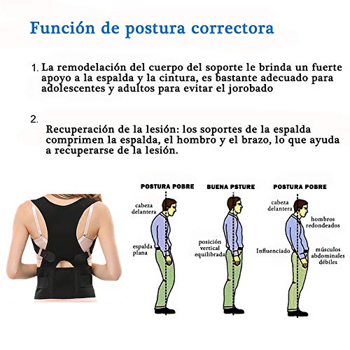 Panegy - Corrector de Postura para Hombre Mujer Unisex Soporte de Espalda Faja de Cintura Ajustable Alivar Dolor de Cuello Hombre Espalda - Azul - S