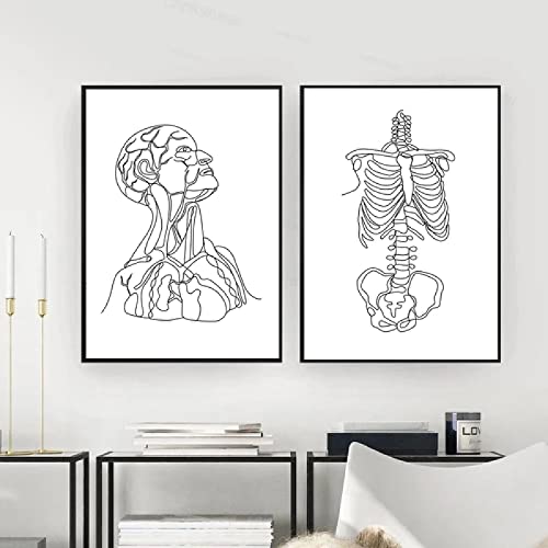 Póster de esqueleto humano abstracto, dibujo de línea de cuerpo masculino, lienzo impreso, pintura de arte de pared de anatomía humana, cuadros, decoración de oficina de Doctor