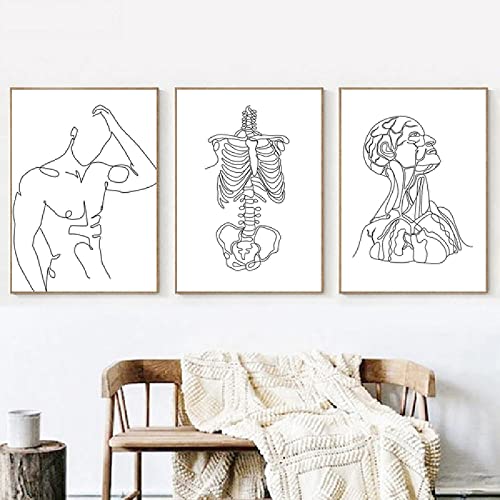 Póster de esqueleto humano abstracto, dibujo de línea de cuerpo masculino, lienzo impreso, pintura de arte de pared de anatomía humana, cuadros, decoración de oficina de Doctor