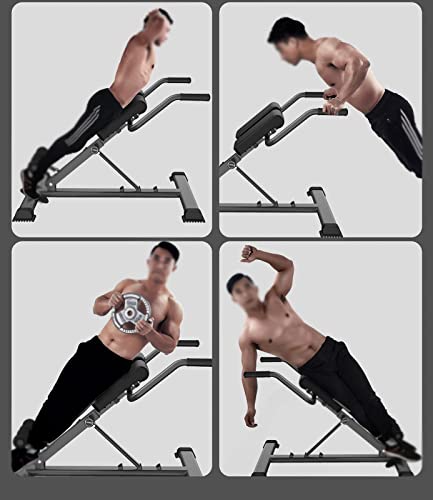PTY Silla Romana Ajustable Entrenador de abdominales y espalda, Silla romana de hiperextensión para gimnasio en casa, Entrenador de espalda de hiperextensión Carga máxima 300 kg, Barra de inmersión pl