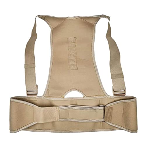REDCVBN El Soporte Corrector de Postura de Soporte para la Espalda Mejora el Dolor Lumbar Inferior y Superior de la Joroba en los Hombres