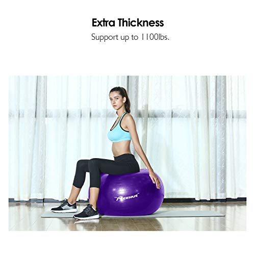REEHUT Pelota de Ejercicio Pelota Pilates Gimnasia Fitness Anti-Burst con Bomba para Yoga Equilibrio Fitness Entrenamiento - 55cm 65cm 75cm