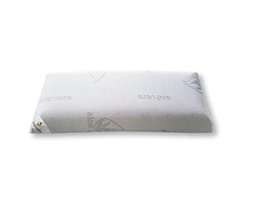 Seasons- Almohada viscoelastica de 150 cms, Antiácaros y Antibacterias , tejido Aloe vera hilo de plata. Doble funda