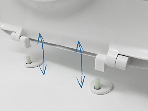 Tapa Wc Compatible Forma D-U - Bisagra Ajustable y Extraíble - Fácil Instalación y Limpieza - Asiento Inodoro Muy Resistente - Blanco - 43 x 36 x 5 cm