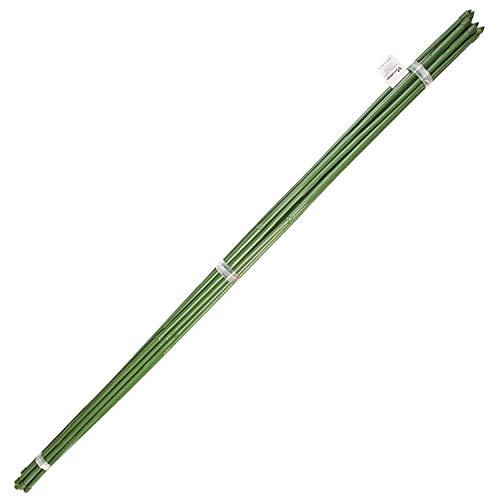 Tutor Varilla Bambú Plastificado Ø 12 - 14 mm. x 180 cm. (Paquete 10 Unidades)