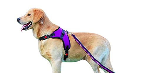 VF Arnés de perro Lex ajustable con asa superior apta para cualquier perro, ideal para caminar, correr y adiestramiento. Dispensador para bolsas higiénicas (M, púrpura)