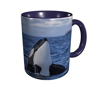 orca uniformes