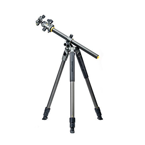 Alta Pro 2+ 263AB 100 - Trípode de aluminio con rótula de bola, 173cm, 7kg