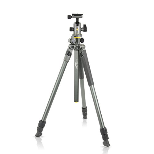 Alta Pro 2+ 263AB 100 - Trípode de aluminio con rótula de bola, 173cm, 7kg