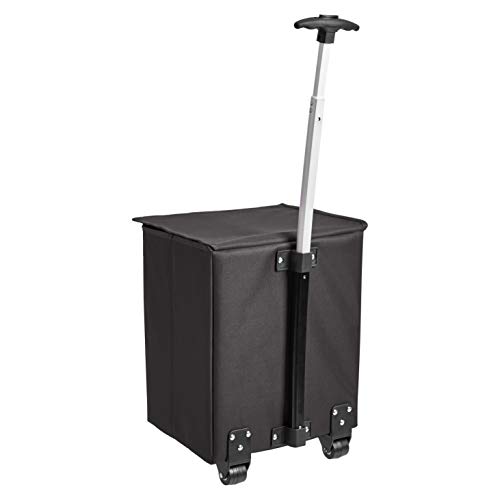 Amazon Basics – Carrito para la compra ligero y abatible, mango de 96,5 cm de altura, negro