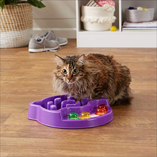 Amazon Basics - Espacio de actividades y alimentación para mascotas, morado